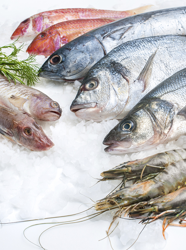 productos-pescaderia